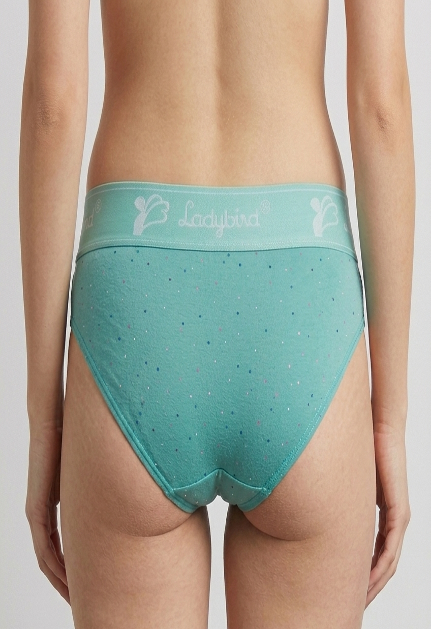 Ladybird 4007 Panty
