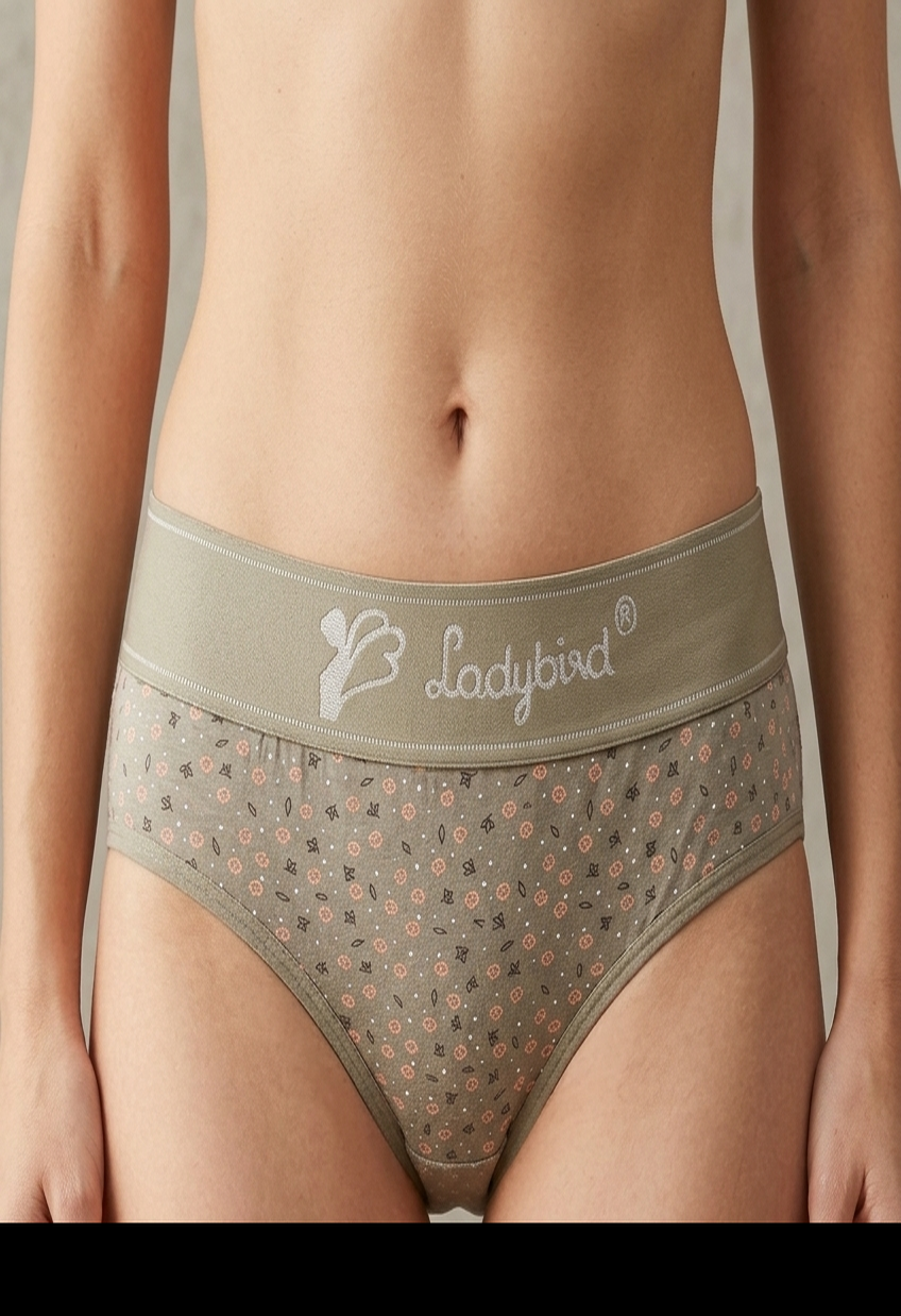 Ladybird 4009 Panty
