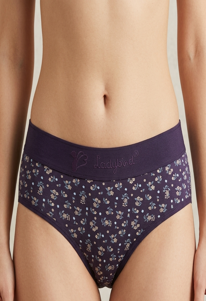 Ladybird 4010 Panty